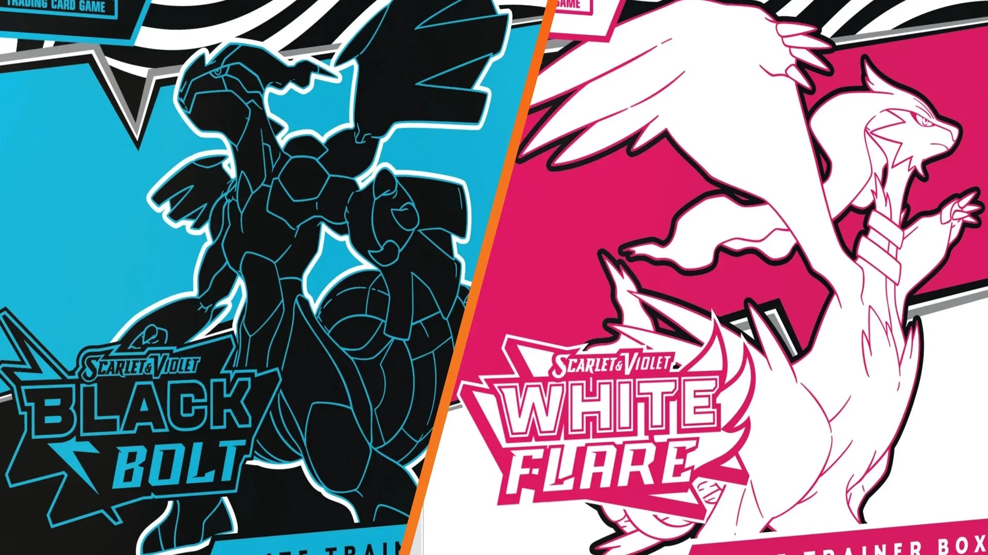 Pokemon Black Bolt & White Flare