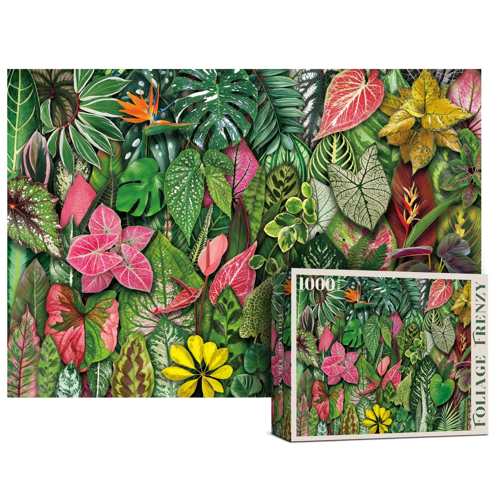 Foliage Frenzy 1000-piece puzzle with tropical leaf design.