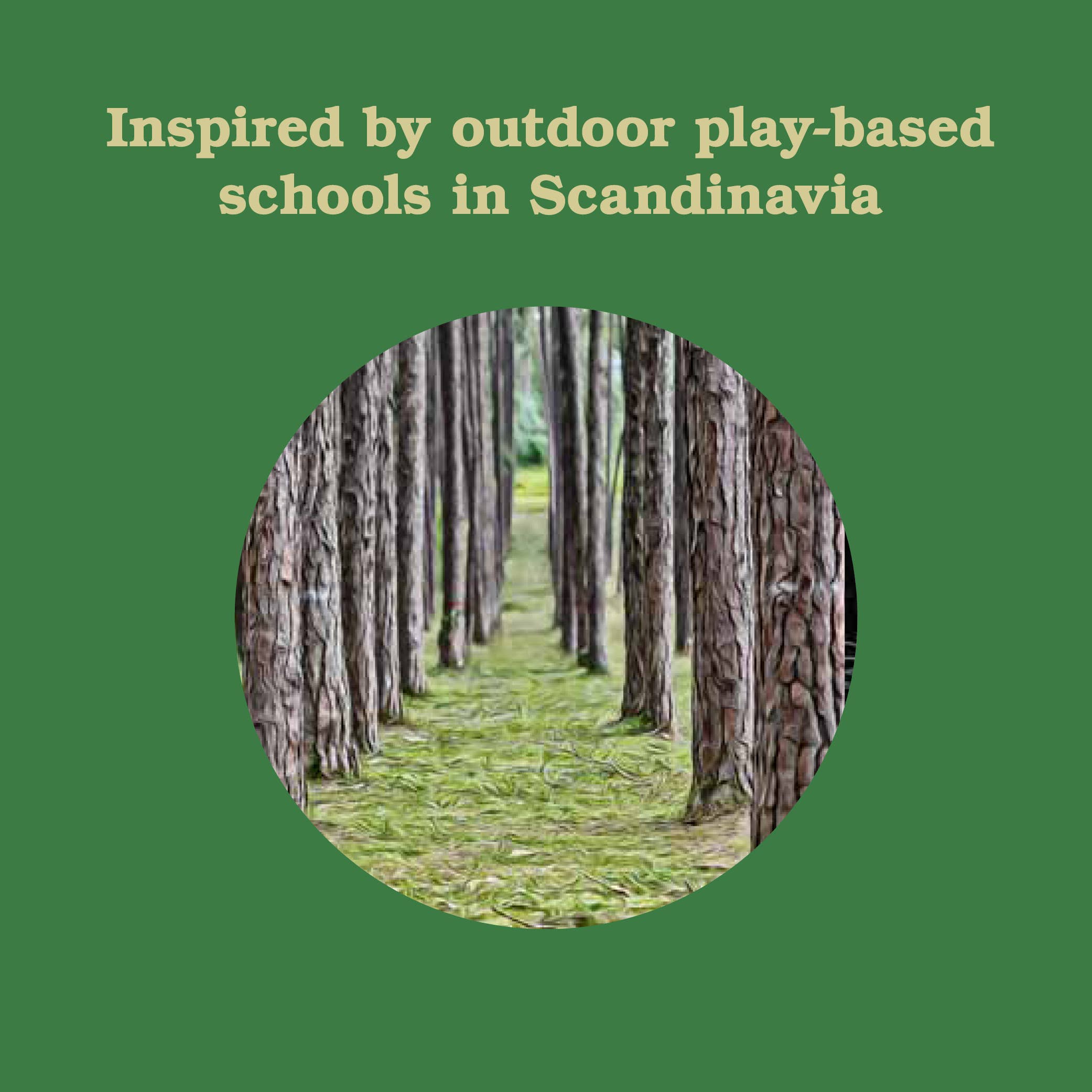 Forest School for Grown-Ups product logo with tall trees inside a circle and green background.