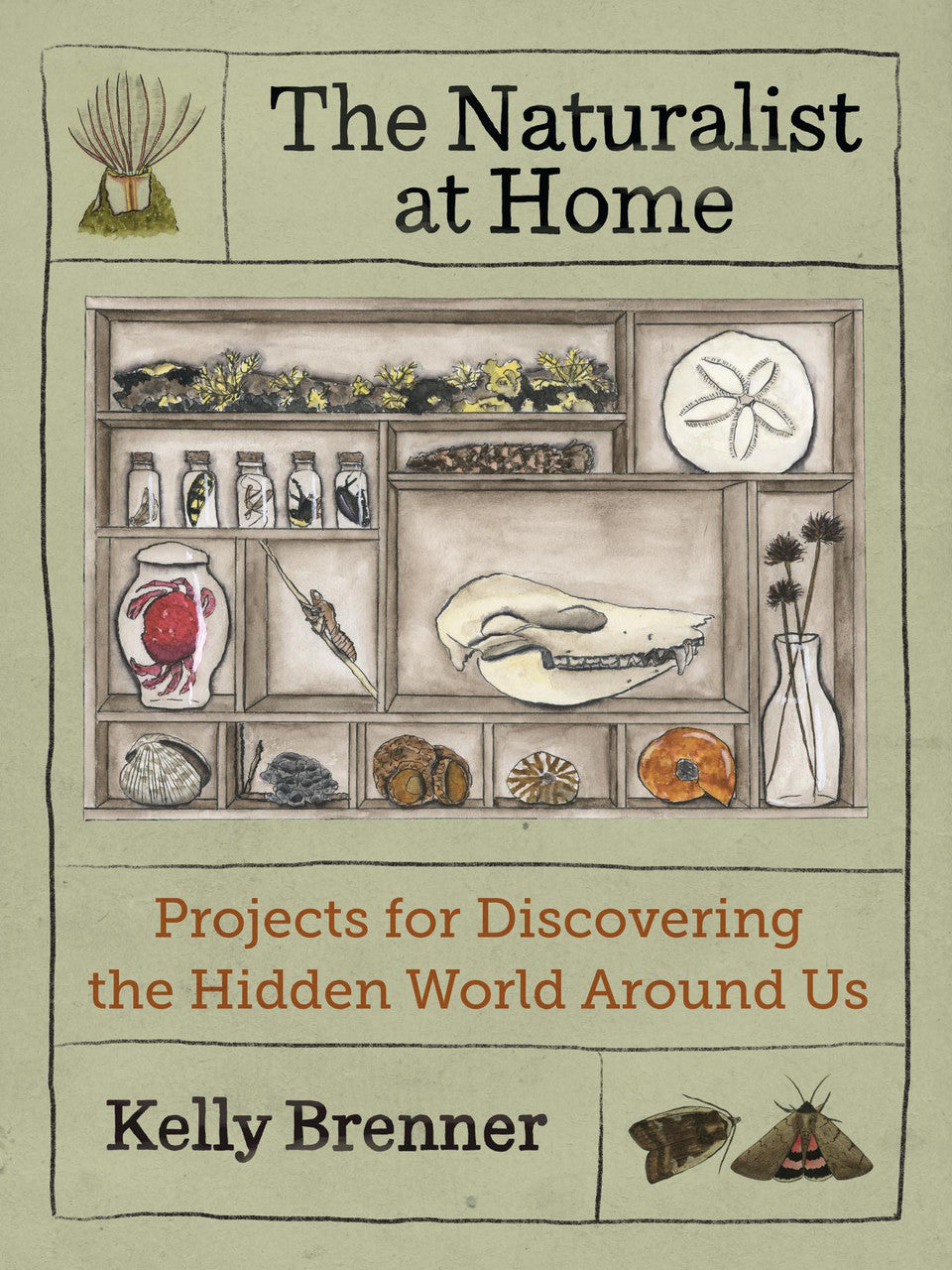 The Naturalist at Home by Kelly Brenner book cover with illustrated specimen shelves.