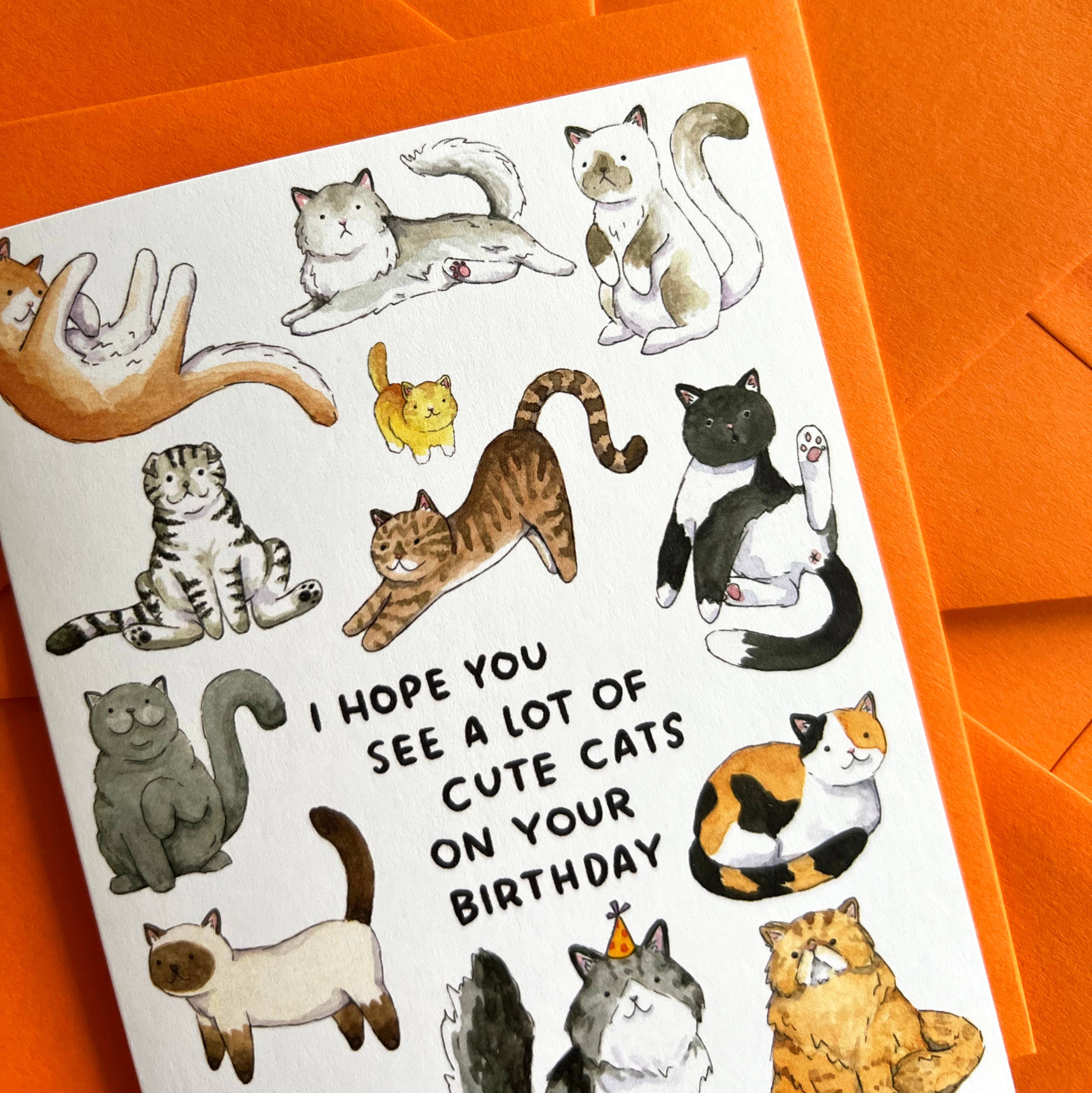 Hope You See A Lot Of Cute Cats birthday card with watercolor cats and hand lettering.
