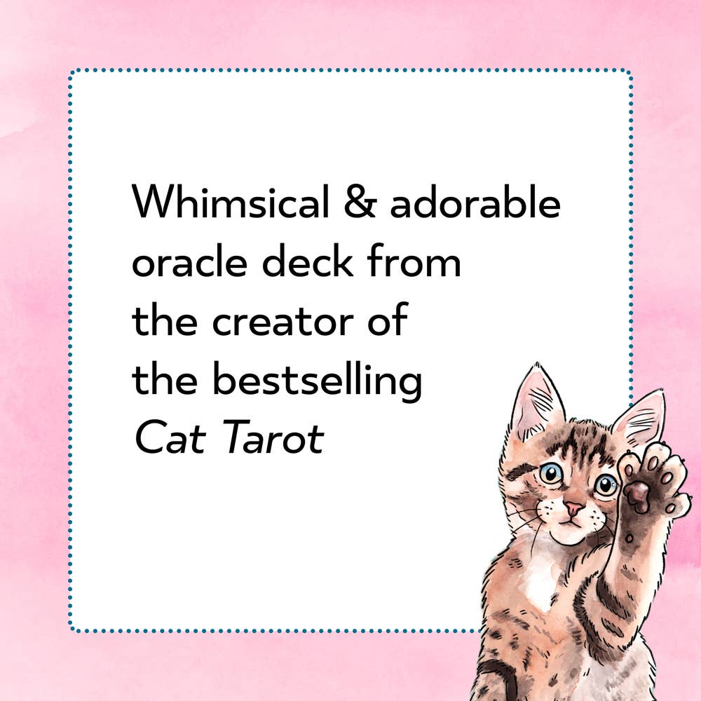 Kitten Oracle card deck by the creator of Cat Tarot, with illustrated cat and text on a pink background.