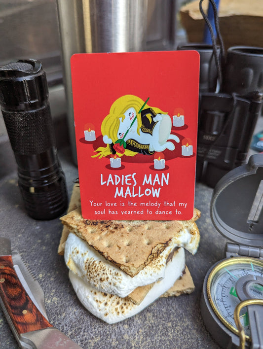 Roast: A card game themed around s’mores, suitable for camping or family game night.