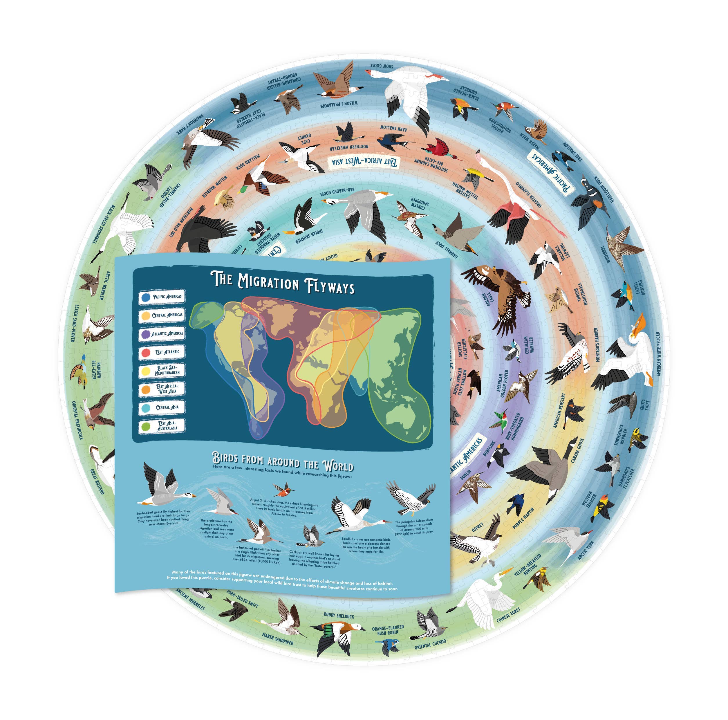 Bird Lover’s 1000-piece puzzle featuring global bird migration flyways, illustrated birds, and a world map.