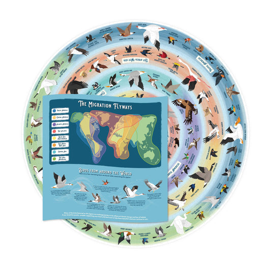 Bird Lover’s 1000-piece puzzle featuring global bird migration flyways, illustrated birds, and a world map.