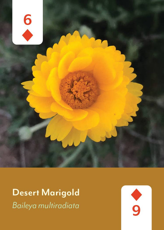 Desert Southwest Wildflowers Deck cards, 9 and 6 of diamonds, shown with a bright yellow desert marigold.