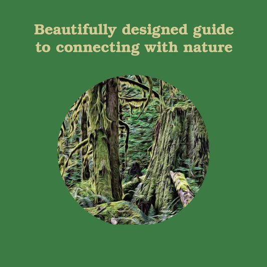 Forest School for Grown-Ups: Nature connection & outdoor guide for adults book cover with mossy forest circle.