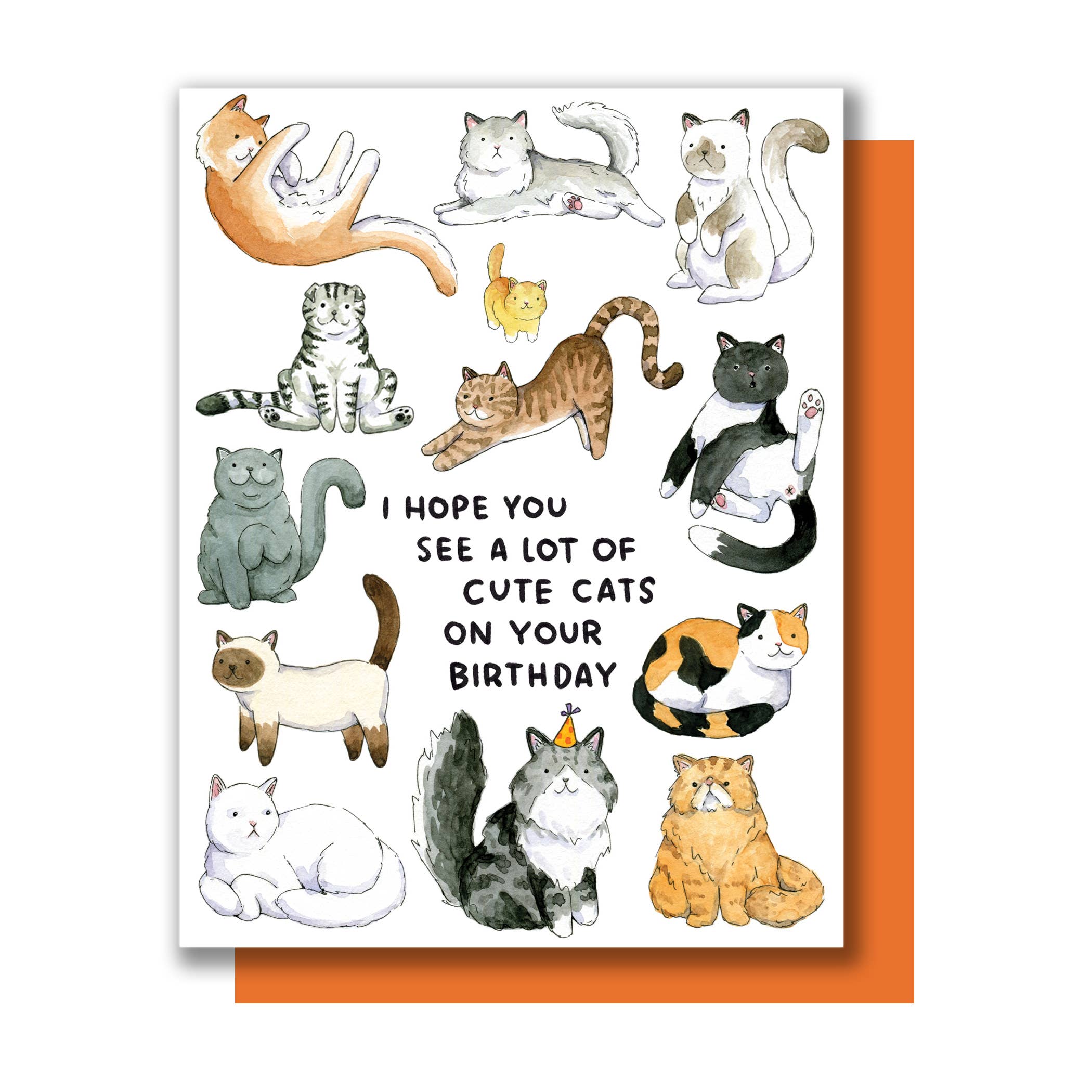 Hope You See A Lot Of Cute Cats Birthday Card featuring watercolor cats and playful lettering.