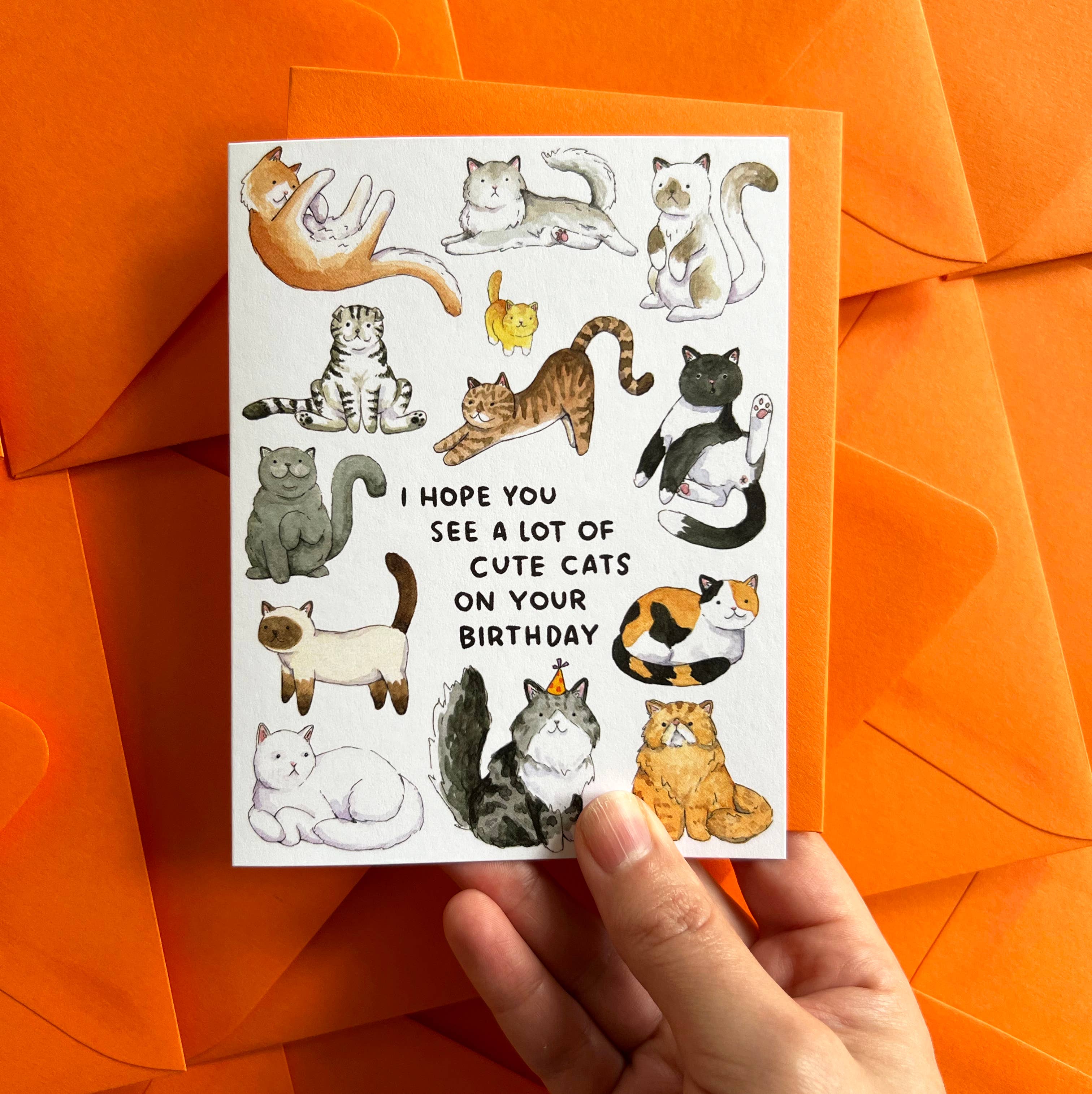 Hope You See A Lot Of Cute Cats Birthday Card with illustrated cats and birthday message held in a hand.