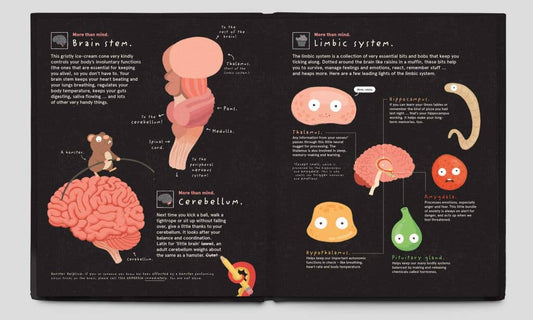 Your Brilliant Brain picture book by Philip Bunting about the human brain for young readers.