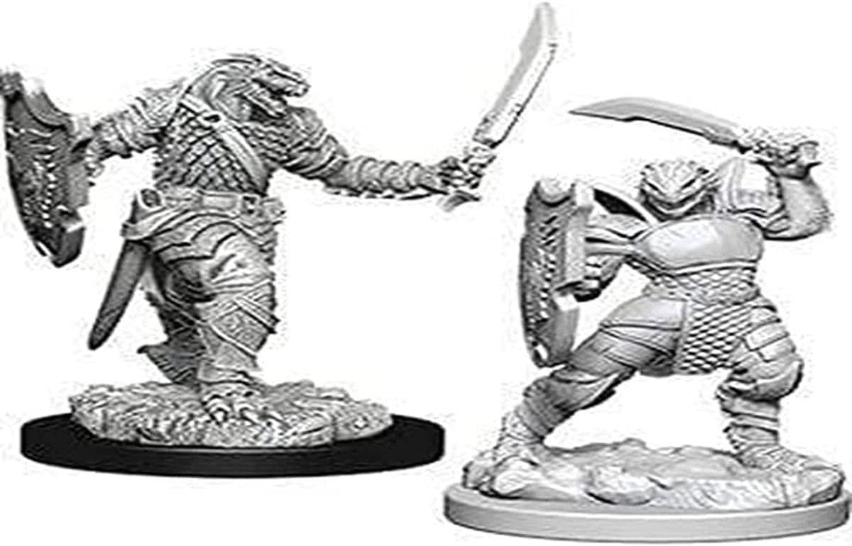 Unpainted D&D Dragonborn Female Paladin miniatures holding swords and shields, standing on textured bases.