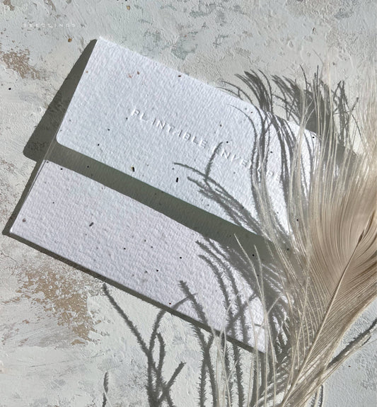 Two Pickleball Birthday plantable seed paper cards with subtle text, next to a pale feather on a light surface.
