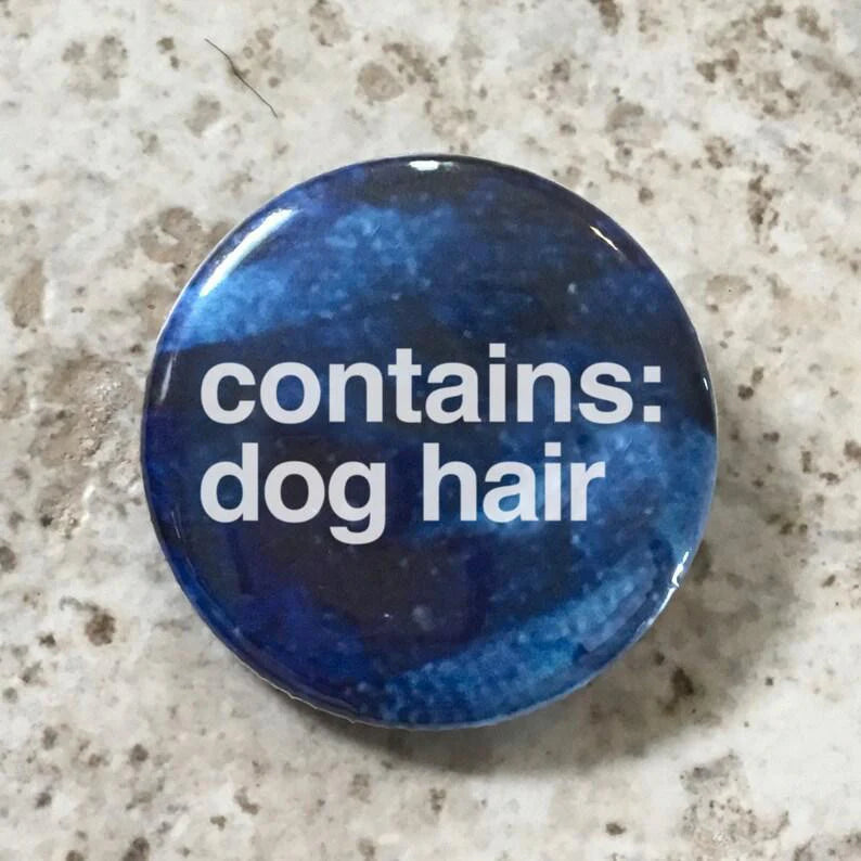 Blue button pin with white text that reads contains: dog hair.
