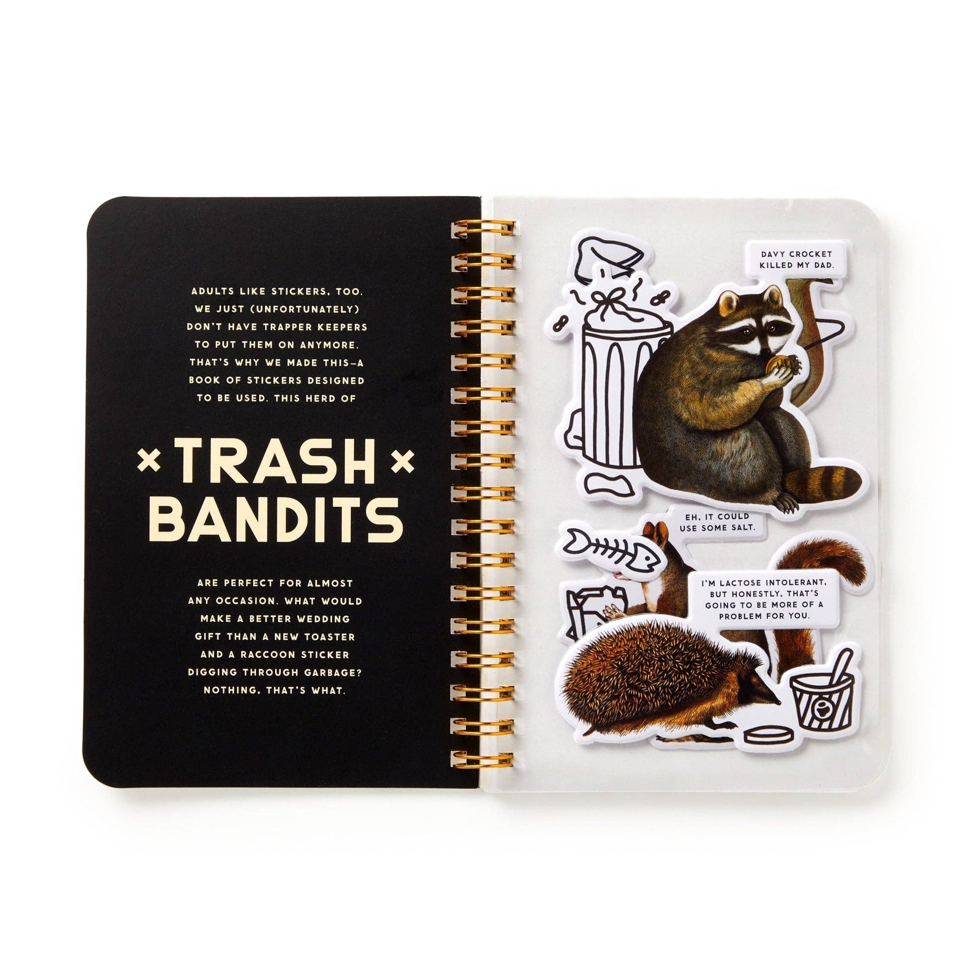 Brass Monkey Trash Bandits spiral-bound sticker book with raccoon and hedgehog trash animal stickers on black cover.