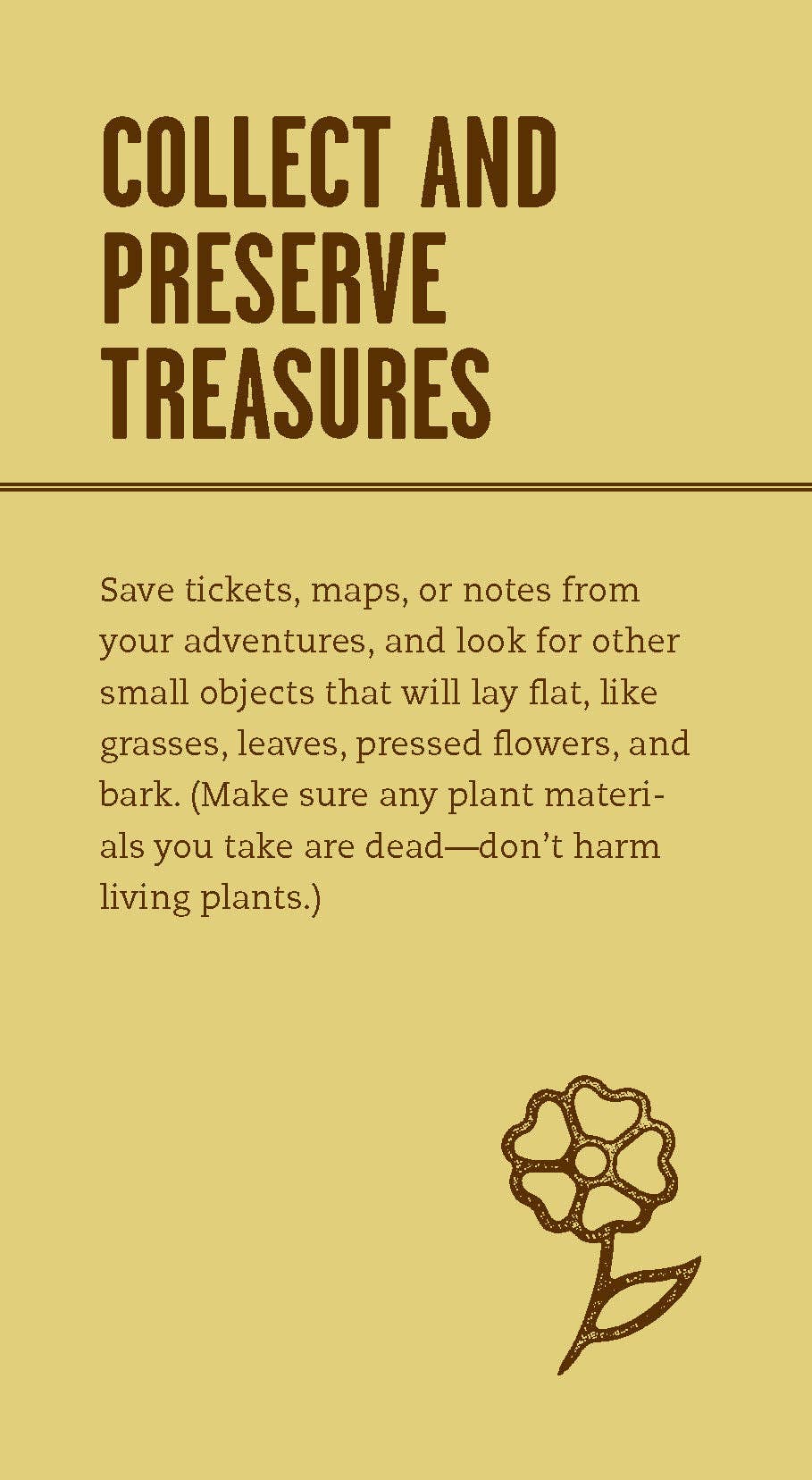 Tan poster featuring Collect and Preserve Treasures text, guides, a flower, and Family Outdoor Adventure Deck.