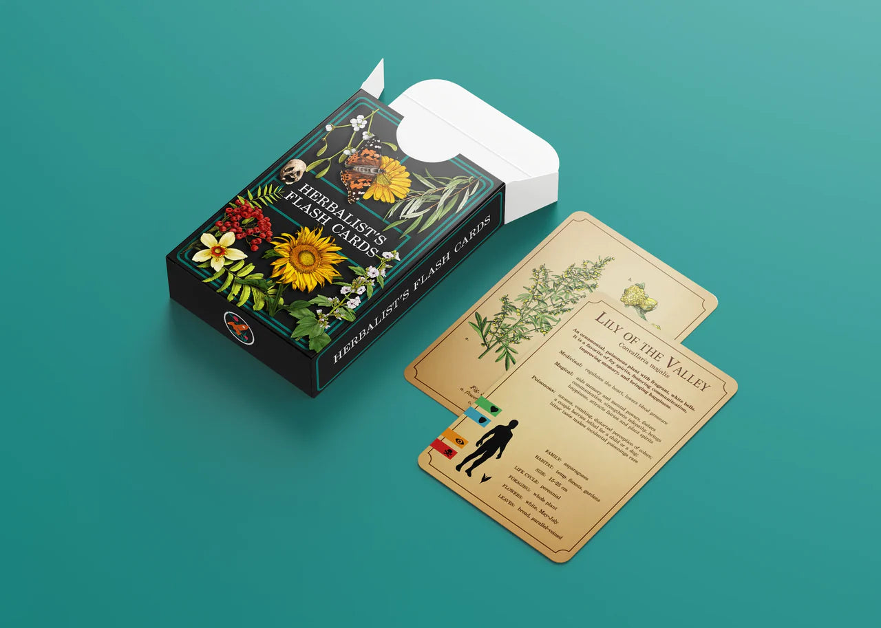 Herbalists Flash Cards box with two plant ID cards, one labeled Lily of the Valley.