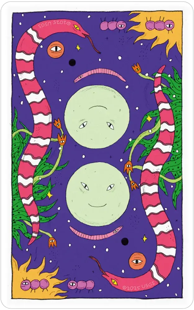 Whimsical Witch Tarot deck in a tin with moons, snakes, ants, plants, and sun shapes on a starry purple background.