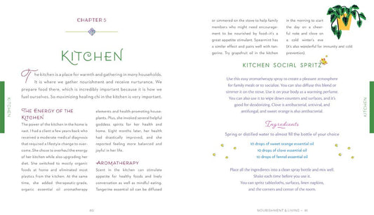 Healing Home book open to Chapter 5 Kitchen with a recipe and palm tree illustration.