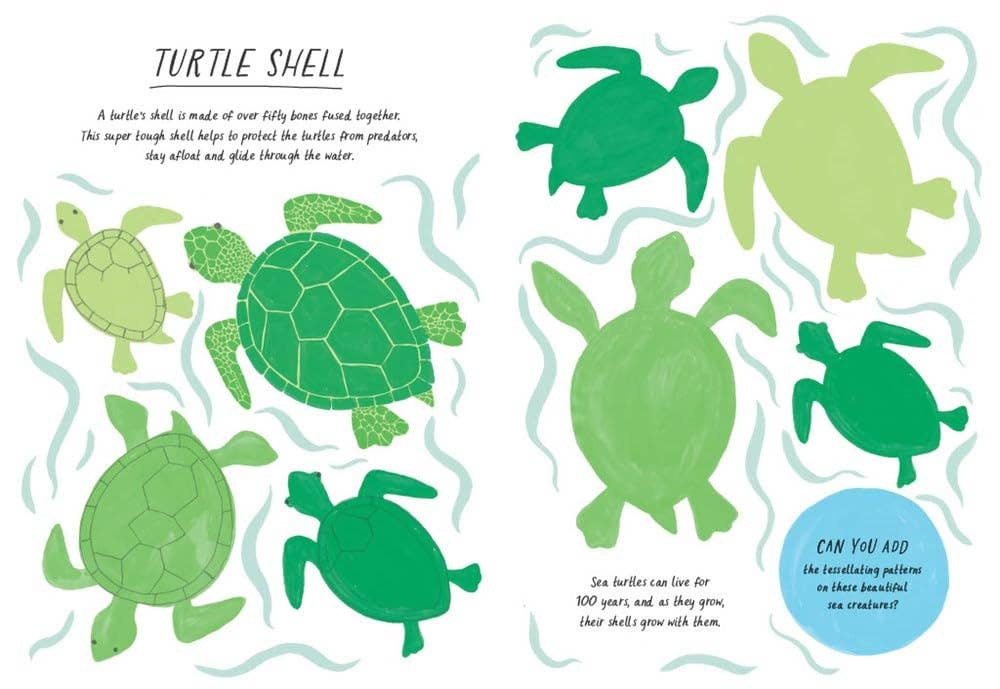 Drawn by Nature: Patterns coloring book featuring a turtle shell with over 50 bones highlighted.