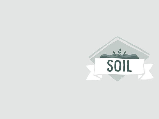 Banner with the text Growing Consciousness and small leaves on a gray background.