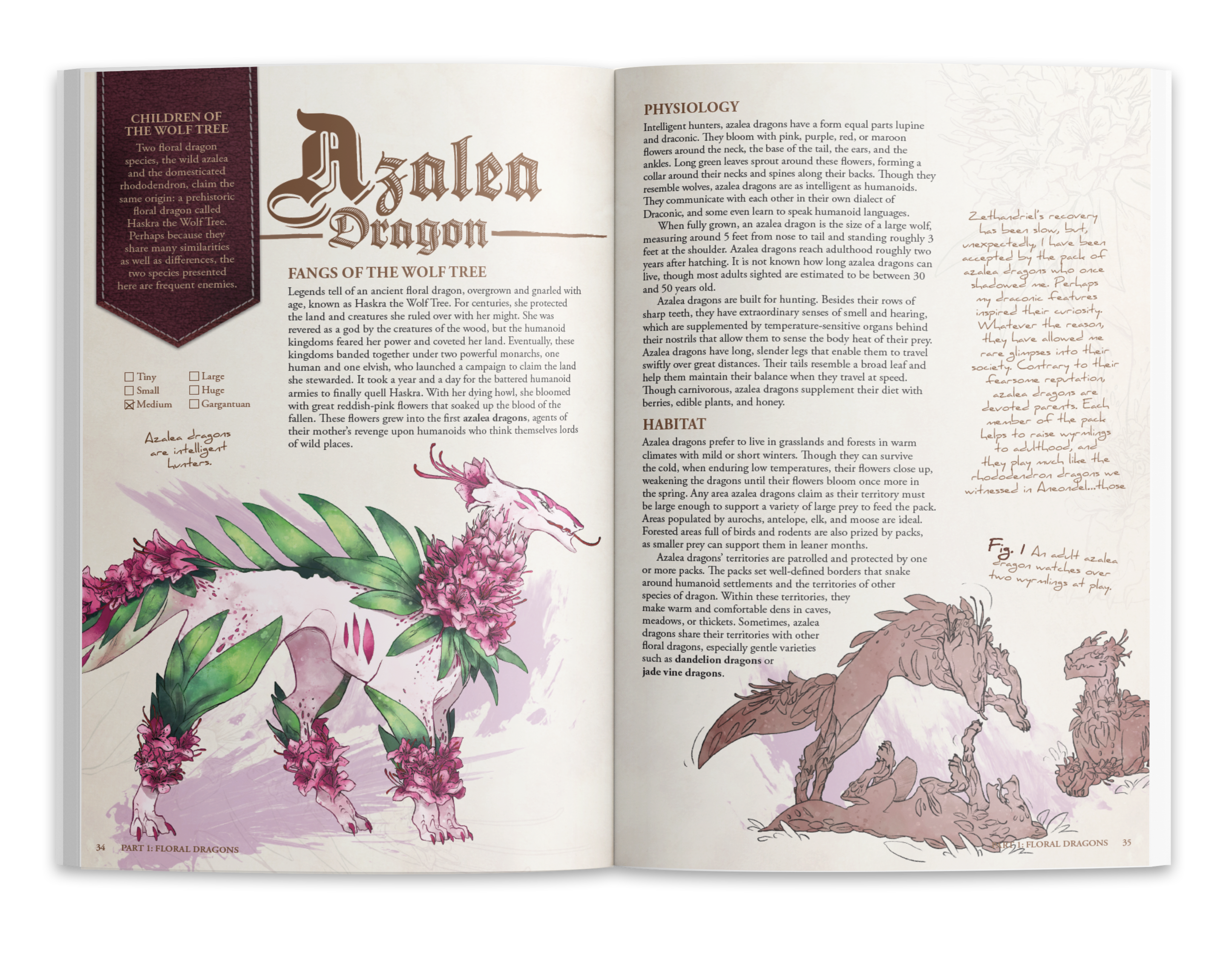 The Field Guide To Floral Dragons deluxe hardcover, a 5e bestiary featuring azalea and wolf-dragon illustrations.