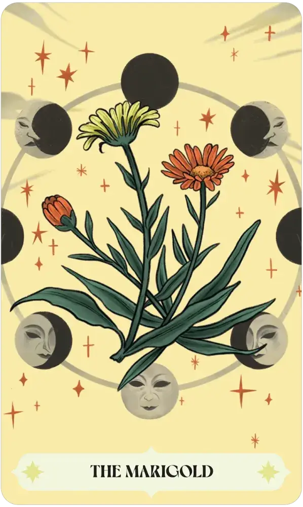 Herbana Witch Oracle deck featuring marigold flowers, green leaves, moon phases, and stars on a pale yellow background.