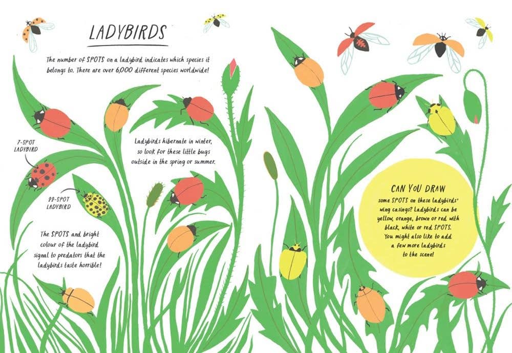Drawn by Nature: Patterns childrens art book featuring ladybird-themed patterns, spots, and colors.