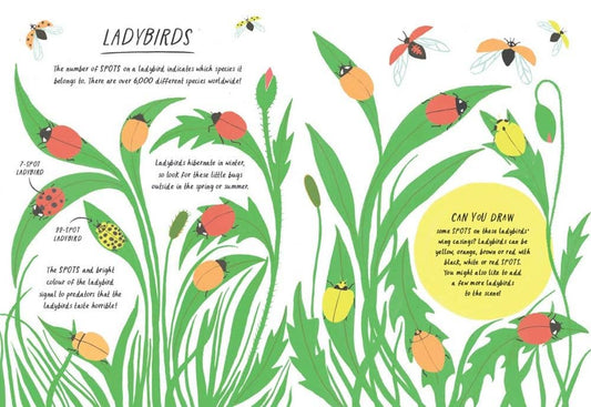 Drawn by Nature: Patterns childrens art book featuring ladybird-themed patterns, spots, and colors.