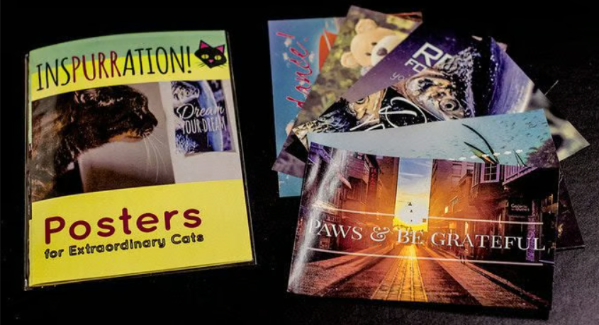 Inspurration: Posters for Extraordinary Cats booklet next to cat-themed wall art.