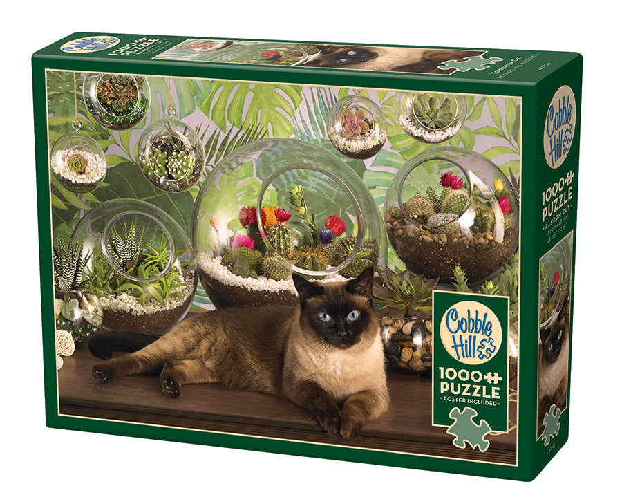 Terrarium Cat — official publisher single-box product photograph