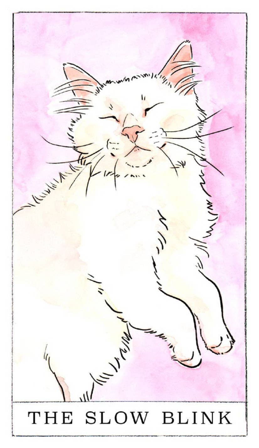 Fluffy cat with closed eyes and a smile on a pink background, Kitten Oracle card theme.
