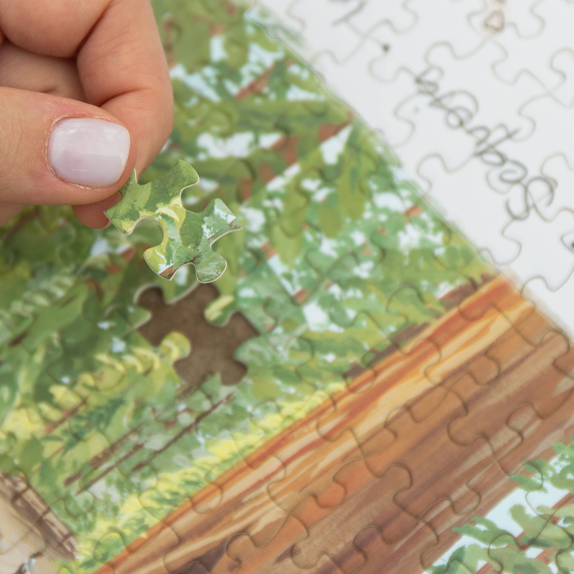 Hand placing a piece in the National Parks 1,000 Piece Jigsaw Puzzle with a hand-painted nature scene.