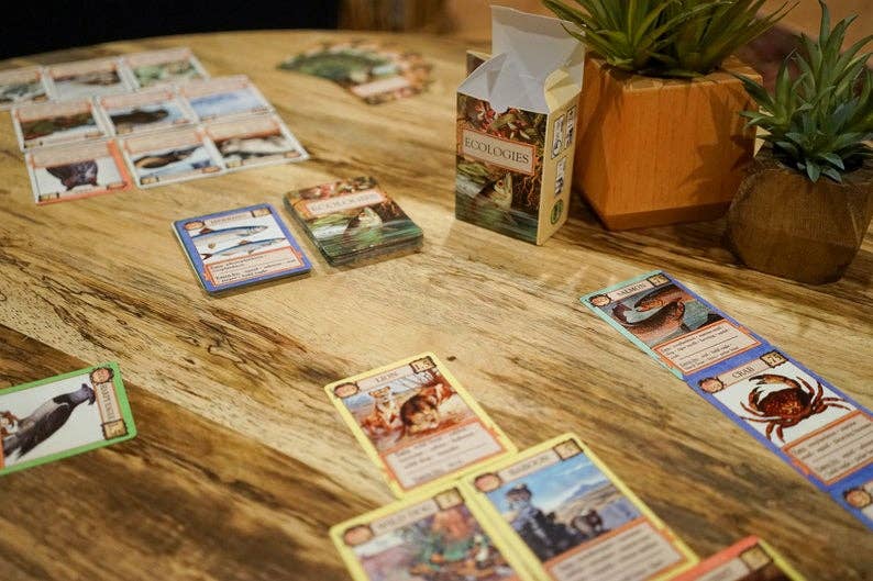Ecologies Card Game cards spread on a wooden table, shown alongside small potted plants.