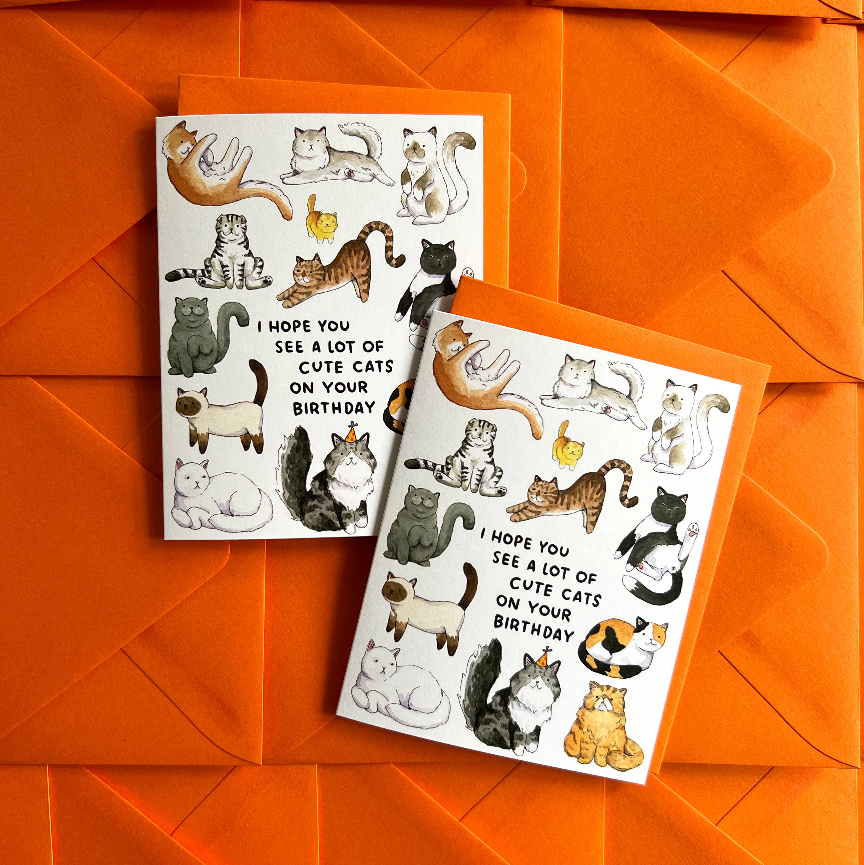 Hope You See A Lot Of Cute Cats birthday card with watercolor cats, hand lettering, and bright orange envelope.