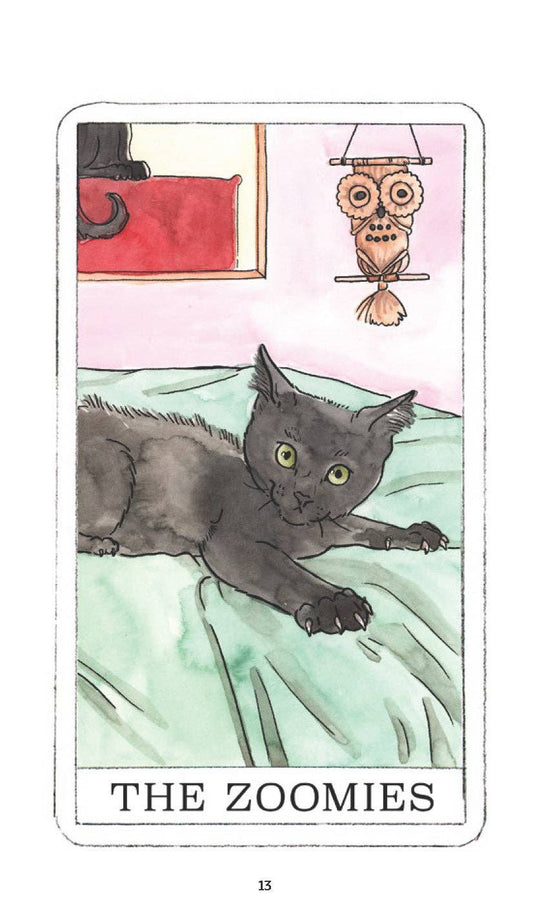 Kitten Oracle deck featuring a wide-eyed black cat crouched on a bed, appearing ready to pounce.