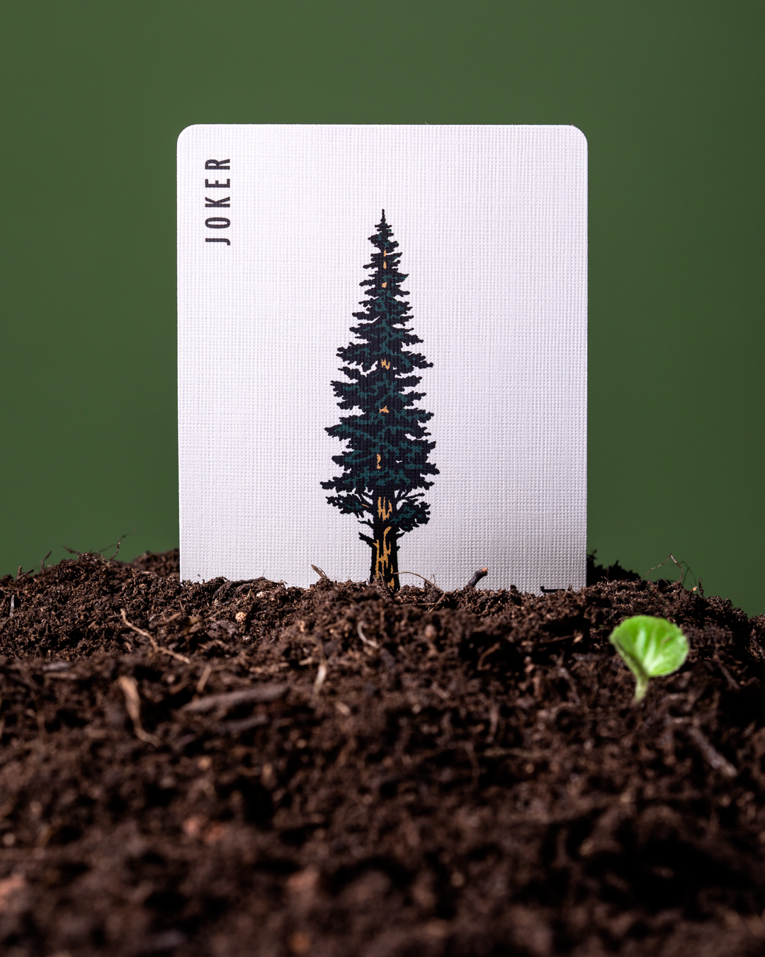 Smokey Bear playing card, Joker, FSC paper, featuring a pine tree in dark soil.