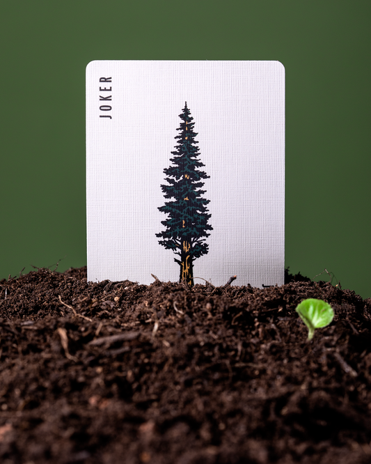 Smokey Bear playing card, Joker, FSC paper, featuring a pine tree in dark soil.