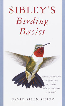 Sibleys Birding Basics book cover featuring a hummingbird illustration.