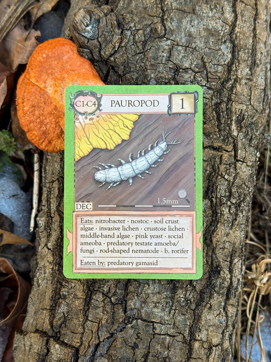 Ecologies: Marvelous Microbes card displayed on tree bark beside orange fungus and dried leaves.