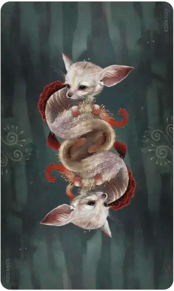 Wisdom of the Wild Things Oracle card featuring a mirrored fennec fox with a red-scaled tail on a dark background.