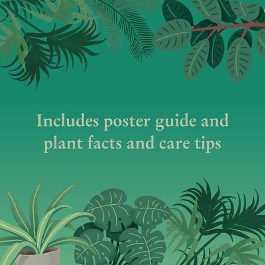 Houseplants 1000 Piece Jigsaw Puzzle with guide and care tips, green design with leaves and text.