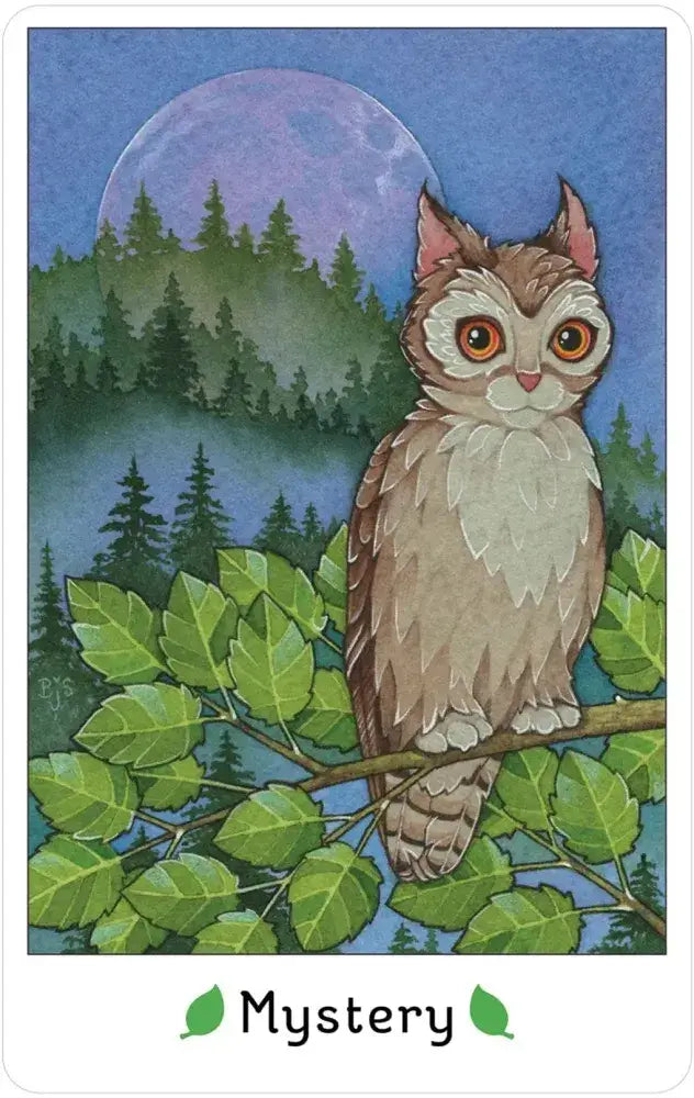Affirmations of the Fairy Cats Deck and Book Set featuring an owl on a leafy branch at night.