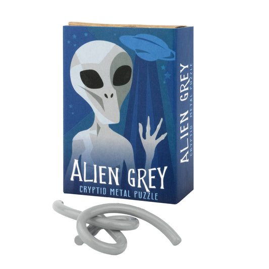 Cryptid Puzzlebox with alien and UFO design, shown with a metal brainteaser in front.