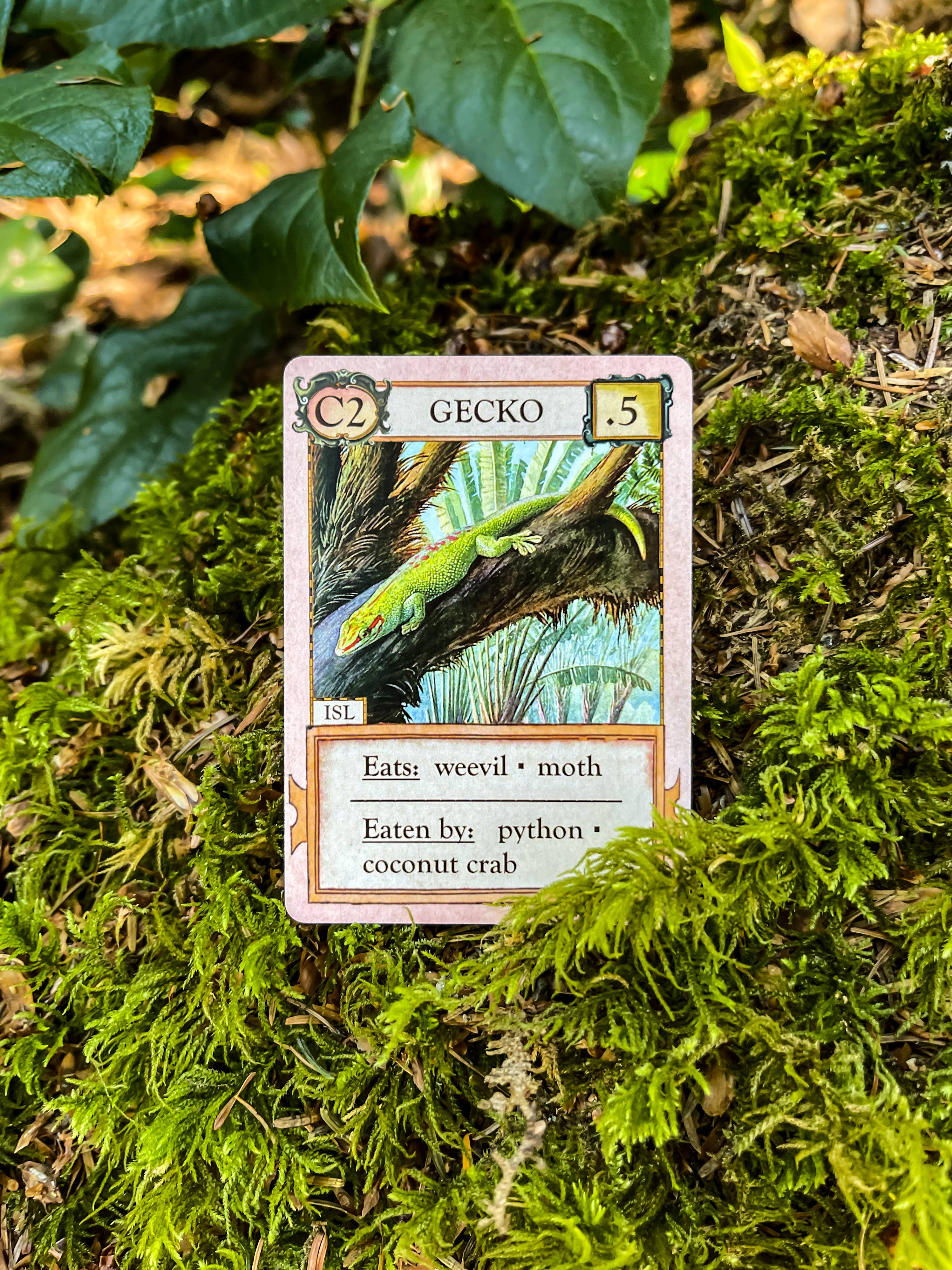 Ecologies: Hidden Habitats Card Game card featuring a gecko on moss, showing its food web role.