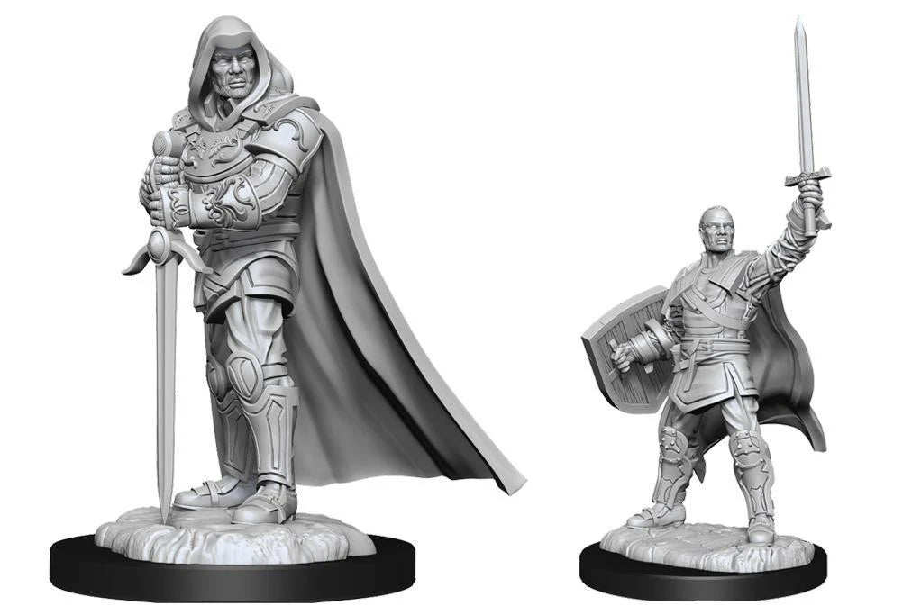 D&D NMU Human Paladin Male W13—two miniatures, both with swords; one has a cape, one holds a raised sword and shield.