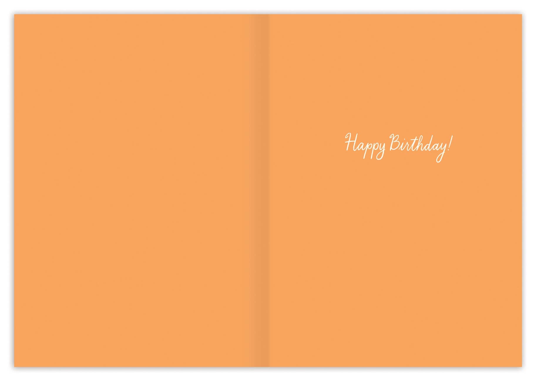 Mushrooms Birthday Card with Carrie Shryock illustration and white script on the right side.