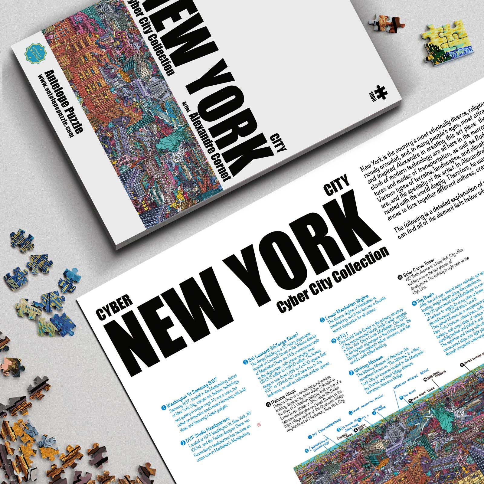 Cyber New York City-The High Line 1000 Piece Jigsaw Puzzle with box and guide included.