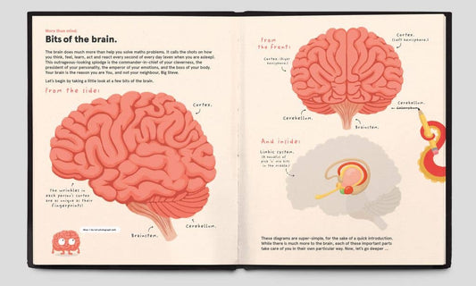 Your Brilliant Brain by Philip Bunting book with labeled diagrams and brief descriptions of the human brain.