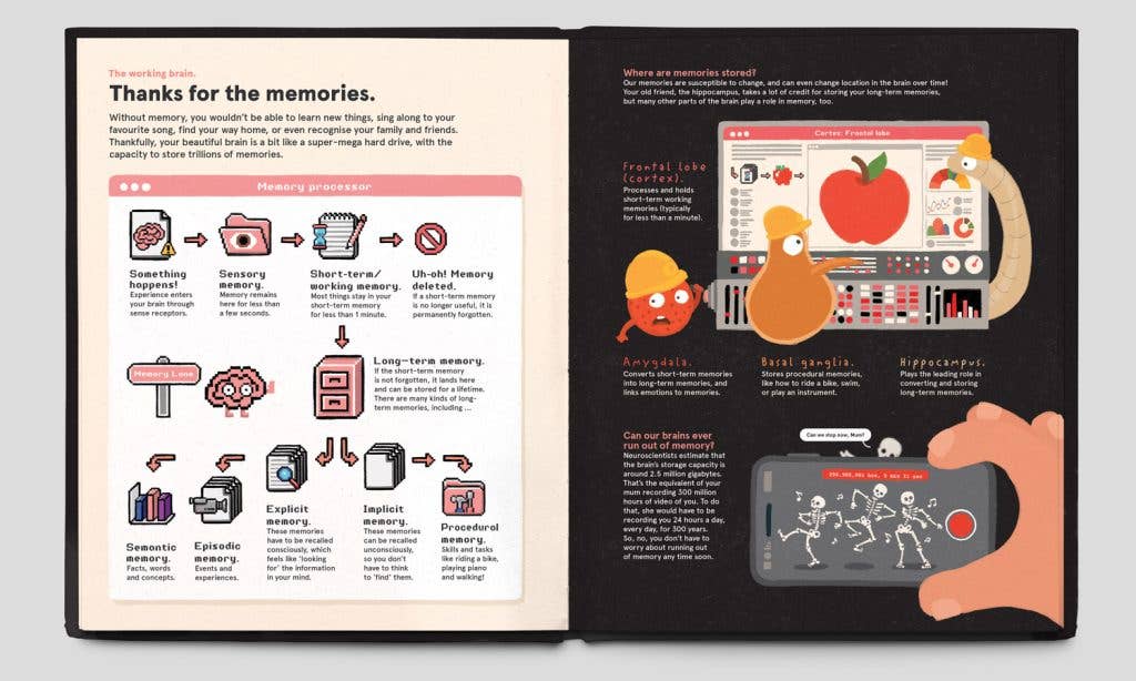 Memory infographic featuring a brain diagram, styled after Your Brilliant Brain nonfiction picture book.