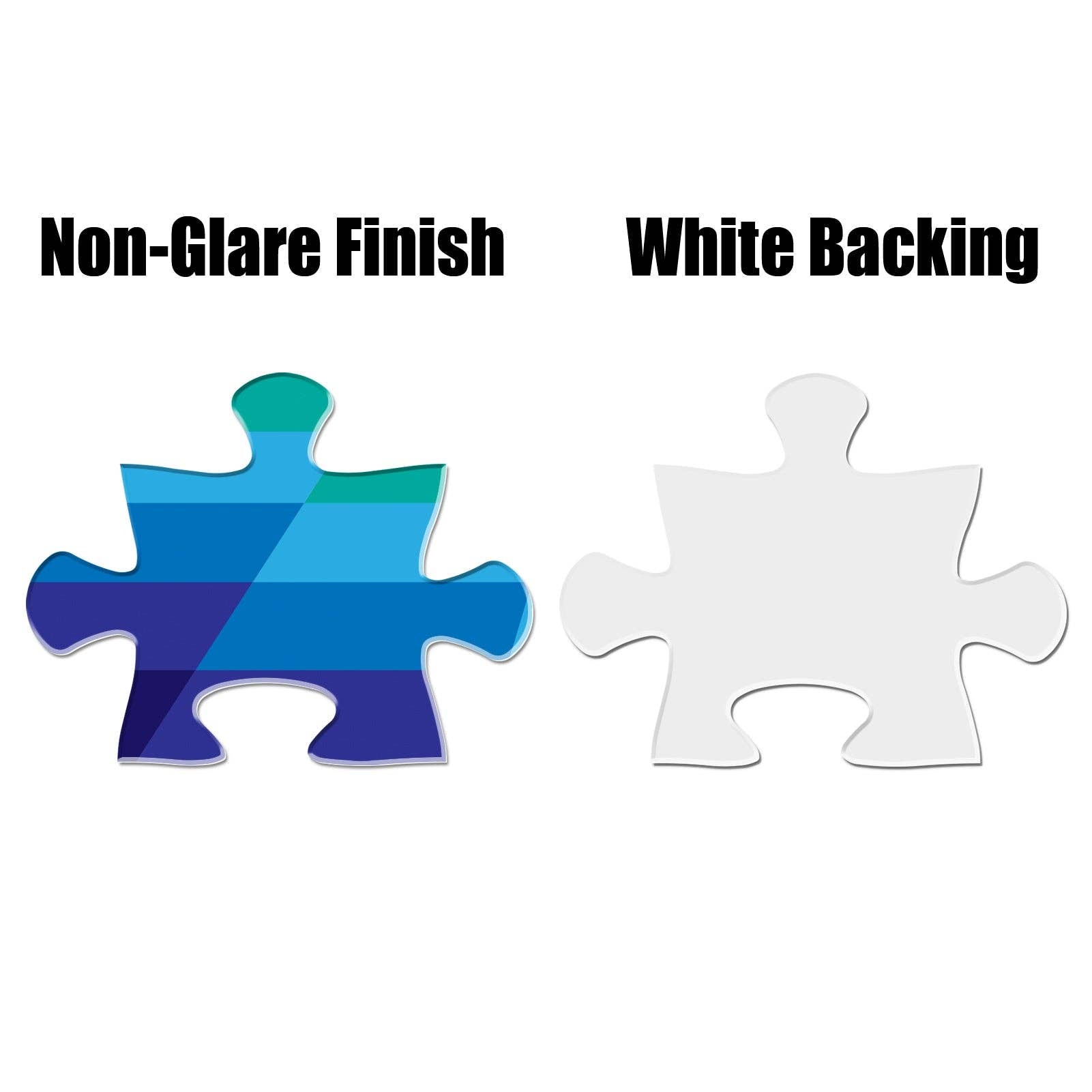 Pixel Spiral 1000 Piece Jigsaw Puzzle with blue non-glare front and classic white backing shown side by side.